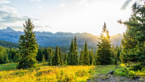 A scene with trees and mountains
