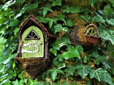 Tiny fairy door in tree nook