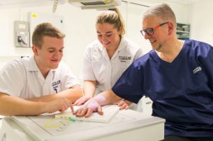 Health Sector Placements