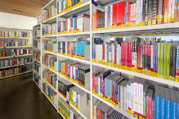 London Library 2, Numerous books on a bookshelf in a library.