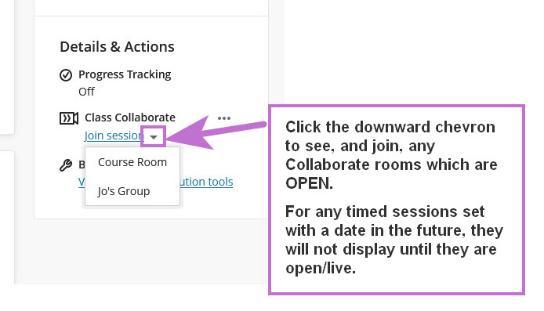 Blackboard Collaborate - how to access, 