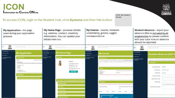 ICON Student Overview, ICON Student Overview