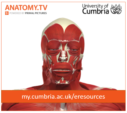 AnatomyTV, 
