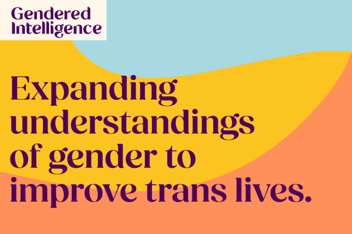 The image shows gendered intelligence's logo on a colourful background. The text below the logo reads: Expanding understandings of gender to improve trans lives.