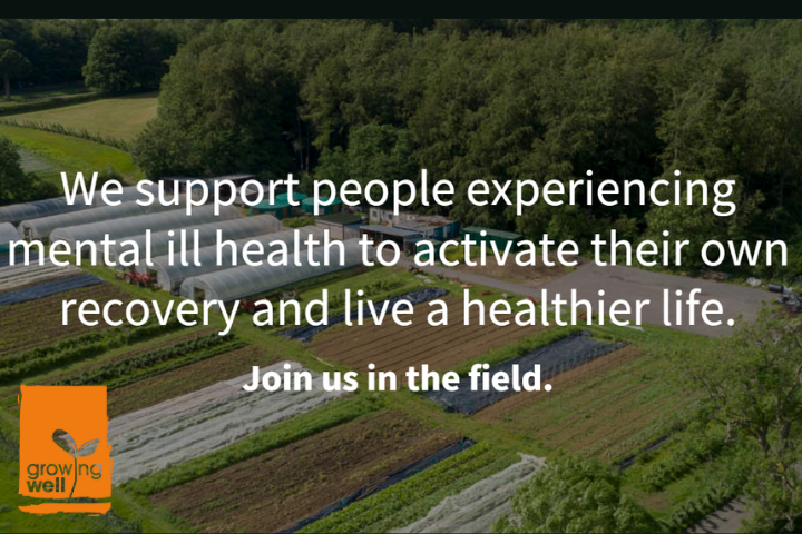 The image shows a birds eye view of an allotment and reads 