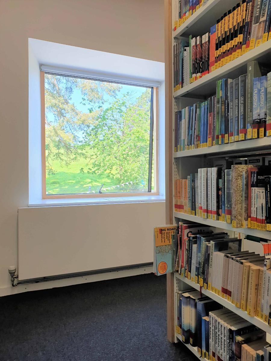 Blog image, a picture of library shelves with books. Beyond the shelves is a view of trees and sunshine from the window