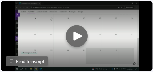 BB Ultra 4.png, Image of Blackboard Ultra Video.
