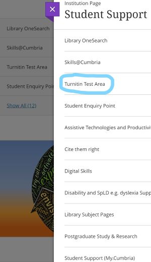 Turnitin Test Area, Screenshot of Institution page in Blackboard with Turnitin Test Area link in Student Support section