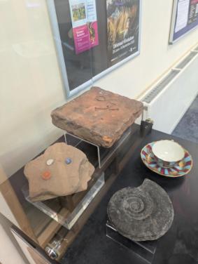 Tullie Display 2, 