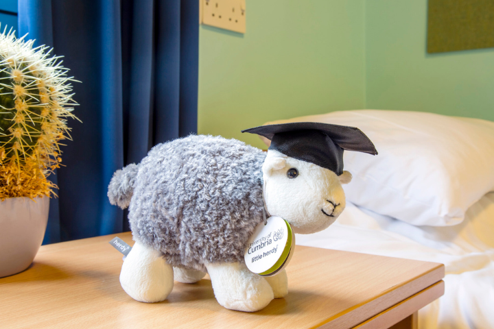 University of Cumbria sheep mascot wearing a graduation cap on a bedside table in student accommodation.