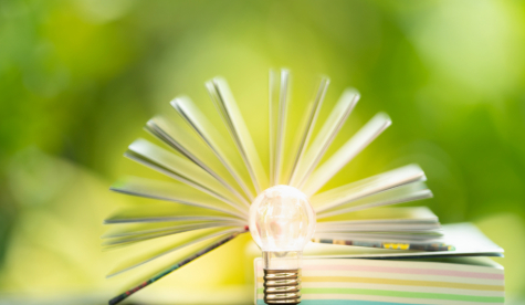 Bulb and pages - Information Pages